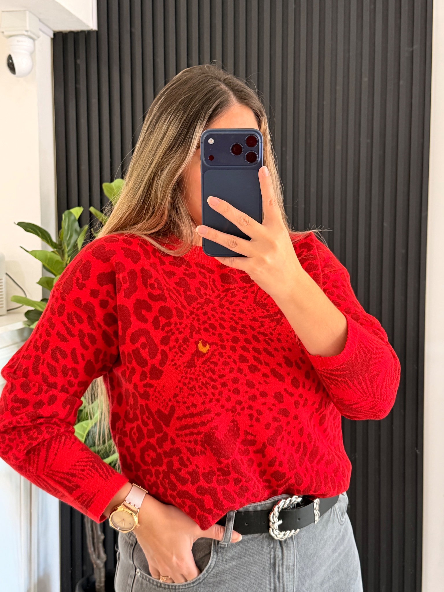 Ojo de Tigre
